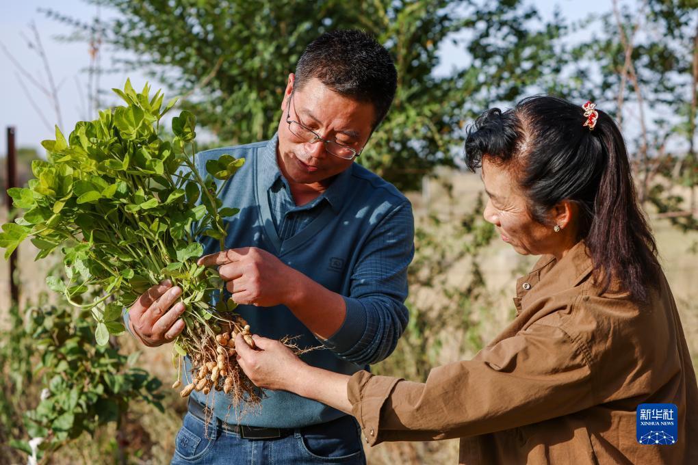 菠菜台子导航